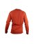 Switch Baselayer LS, šedo-oranžová - Velikost: L