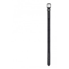Amplifi Star Team Belt